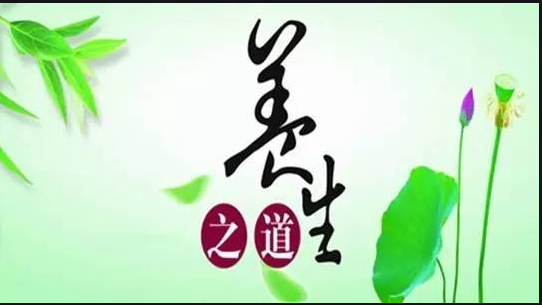 健康养生管理咨询 从理念到实践的科学指南